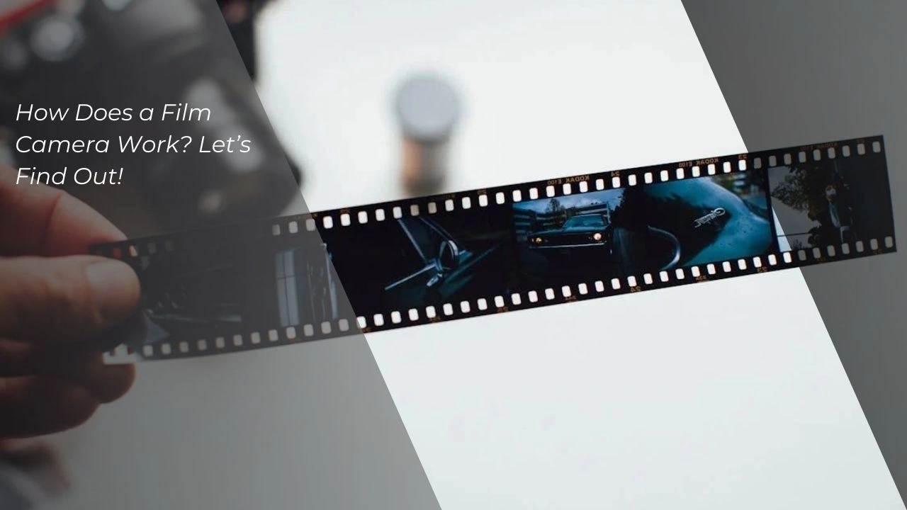 How Film Camera Work? Let's Find Out!
